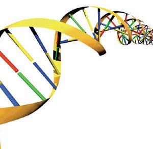 ADVANCE MOLECULAR & CYTOGENETICS